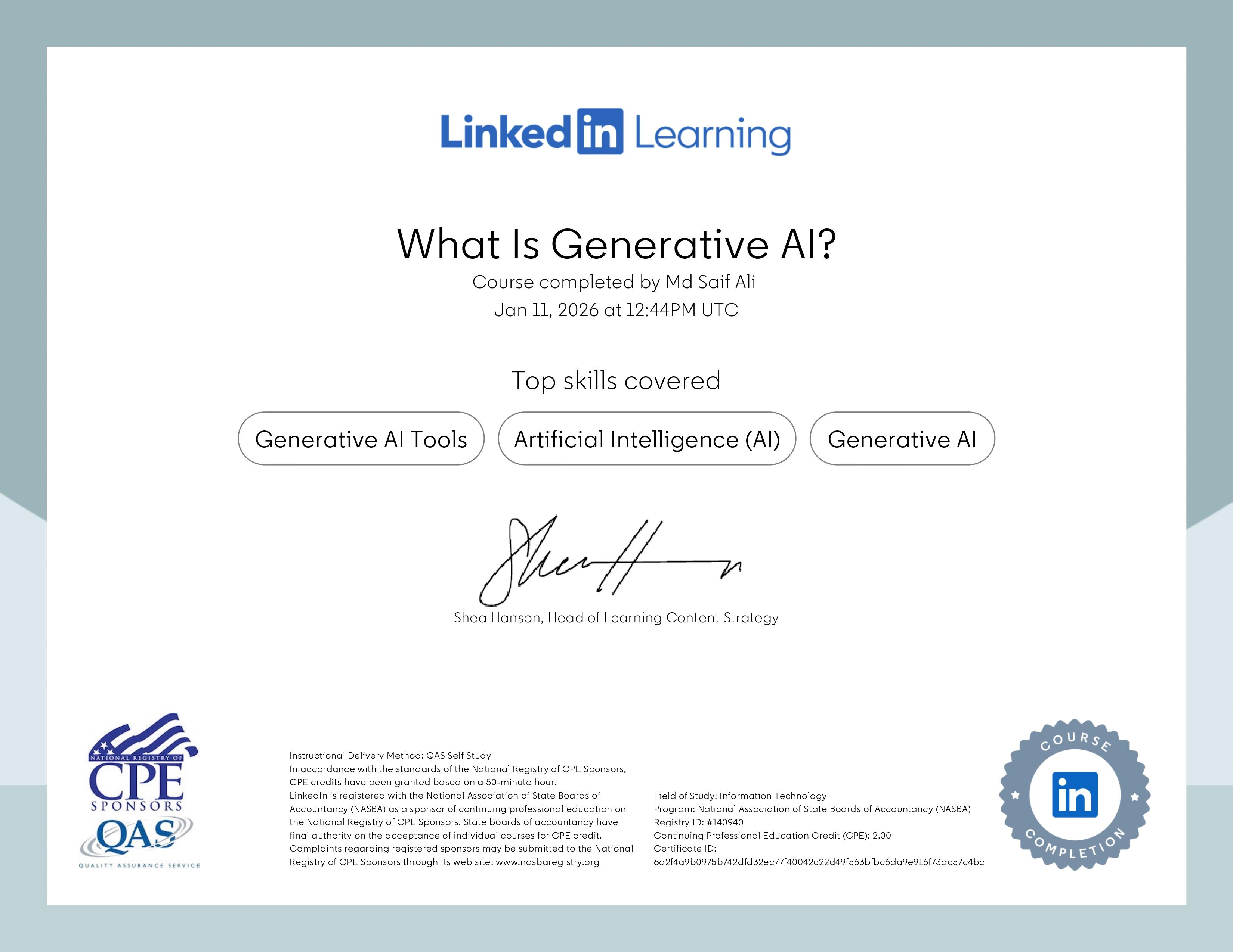 What Is Generative AI? (Certificate 2)